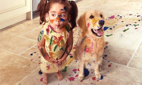 animali