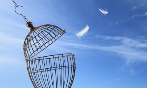 Freedom concept. Escaping from the cage